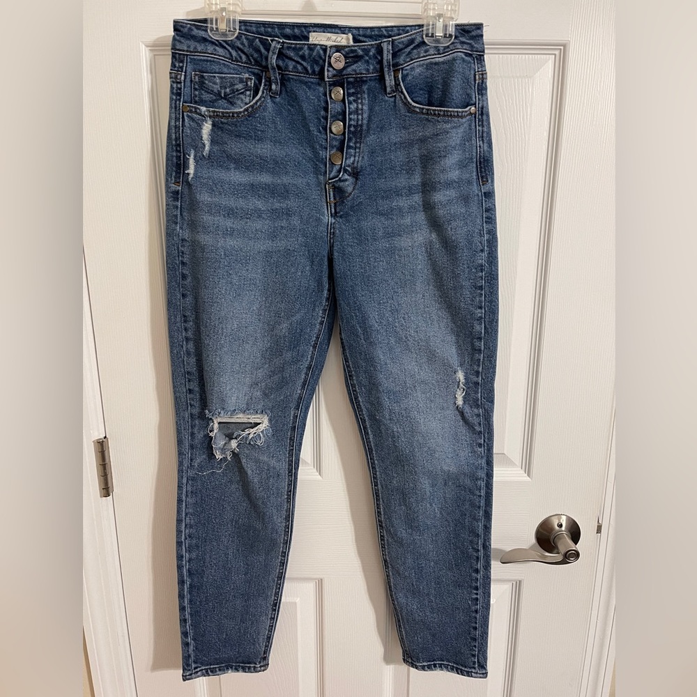 UNPUBLISHED Anthropologie Distressed Button-Fly skinny ankle Jeans Blue boho 29
